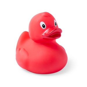 Canard - Koldy 5