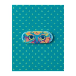 CreaCam Cache webcam