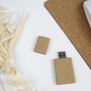 Clé USB CARTON 2