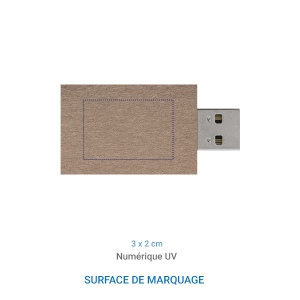 Clé USB CARTON 4