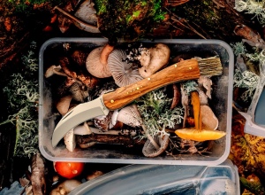 Couteau à champignon 'Laguiole' 7