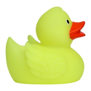 Canard MBW 6