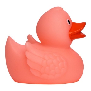 Canard MBW 15