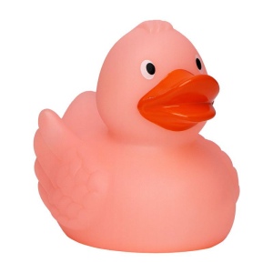 Canard MBW 16