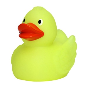 Canard MBW 7