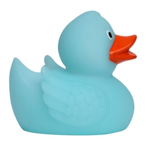 Canard MBW 9
