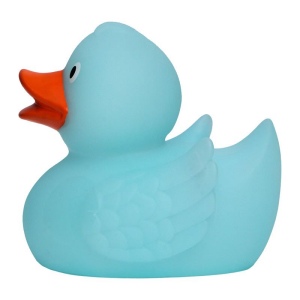 Canard MBW 10
