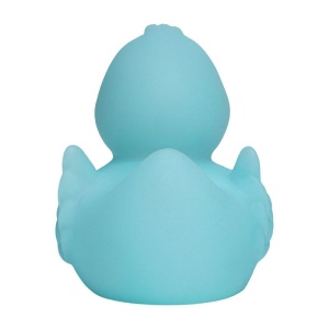 Canard MBW 11