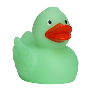 Canard MBW 13
