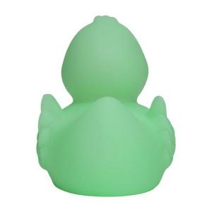 Canard MBW 14
