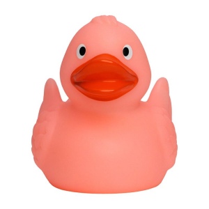 Canard MBW 5