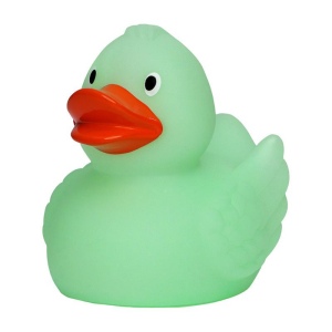 Canard MBW 4