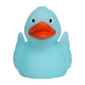 Canard MBW 3