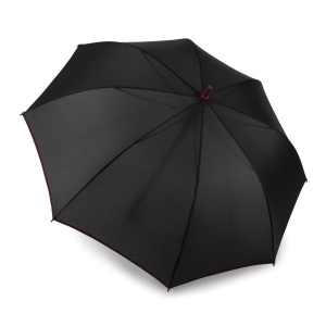 Parapluie automatique 2