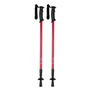 Pulpit bâtons nordic walking