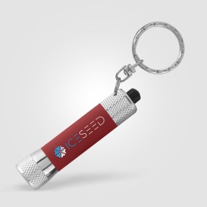 Porte-Clé Lampe Mcqueen Soft (+Laser) 11