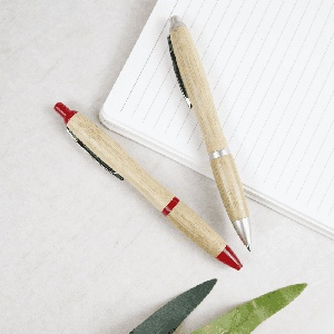 Stylo à bille NASH BAMBOU Encre bleue 2