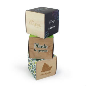 Cube bois Graines 2