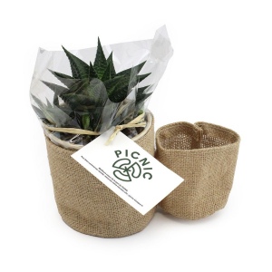 Pot toile de jute 3