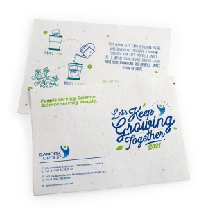 Papier graines A5 2