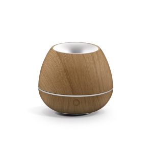 DIFFUSEUR D'HUILES ESSENTIELLES 2