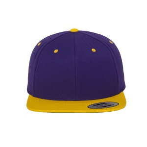 Casquette snapback bicolore 22