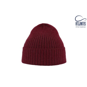 Bonnet Viral 3