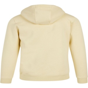Sweat capuche lourd 45