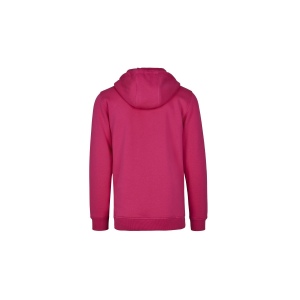 Sweat capuche lourd 52