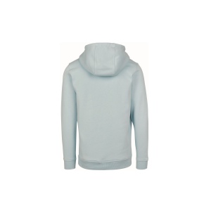 Sweat capuche lourd 55