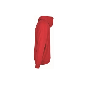 Sweat capuche lourd 112