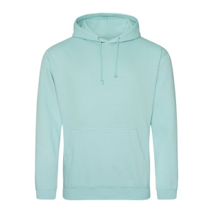 Sweat capuche 31