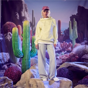 Sweat capuche