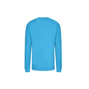 Sweat col rond 280 100