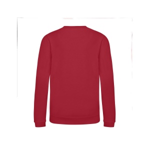 Sweat enfant AWDis 37