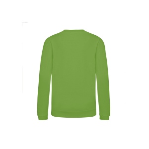 Sweat enfant AWDis 40