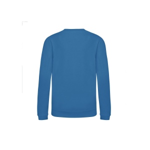 Sweat enfant AWDis 41