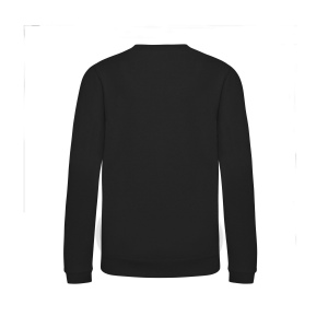 Sweat enfant AWDis 42