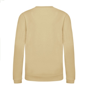Sweat enfant AWDis 46