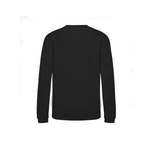 Sweat enfant AWDis 29