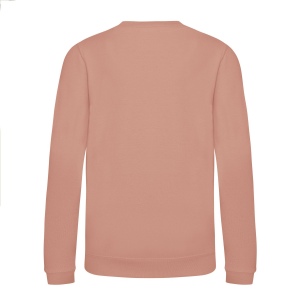 Sweat enfant AWDis 47