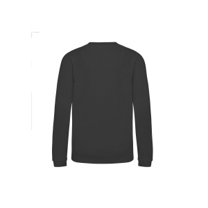 Sweat enfant AWDis 48