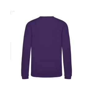 Sweat enfant AWDis 49