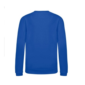 Sweat enfant AWDis 53