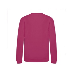 Sweat enfant AWDis 30