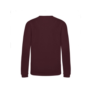 Sweat enfant AWDis 36
