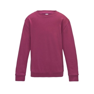 Sweat enfant AWDis 4
