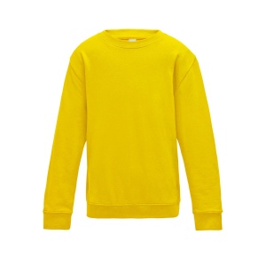 Sweat enfant AWDis 6