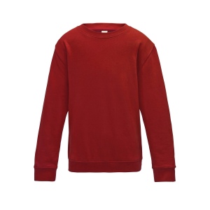 Sweat enfant AWDis 11