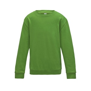 Sweat enfant AWDis 14